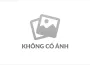 Chính sách chất lượng &amp; Kỹ thuật